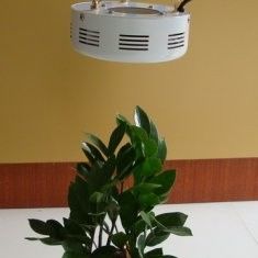 省エネの高い発電 LED は温室のための植物の軽いキット RCG 50W を育てます