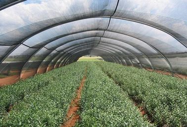 Hdpe の反紫外線温室の屋根の陰の網、ポリエチレンの陰の網