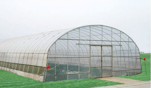 10000mm のスパンの商業温室の経済的なトンネルの温室