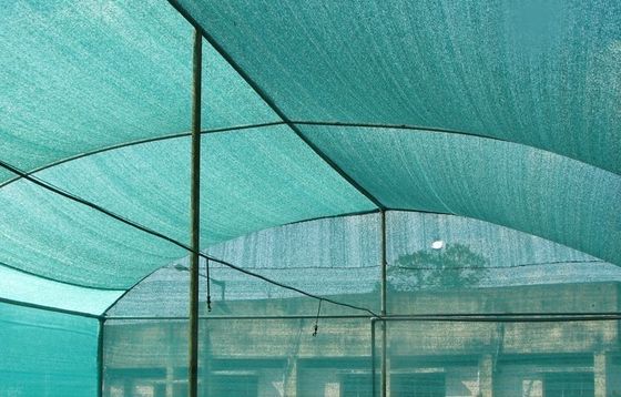 深緑色の温室の陰の網