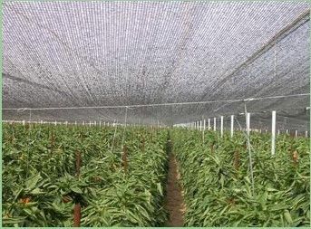 野菜、花の成長のための屋外の温室の日曜日の陰の網