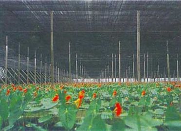 野菜、花の成長のための屋外の温室の日曜日の陰の網