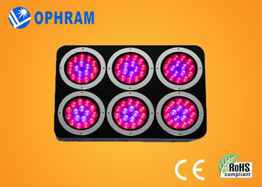 高い発電 IP20 完全なスペクトル LED は実生植物のためのライトを/葉が多い育てます