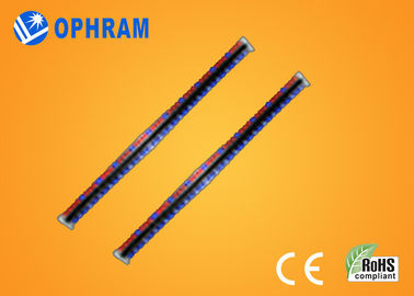 高い明るさ Epistar IP65 は赤くおよび青 LED セリウム/ROHS が付いているライトを育てます