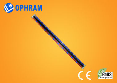 高い明るさ Epistar IP65 は赤くおよび青 LED セリウム/ROHS が付いているライトを育てます