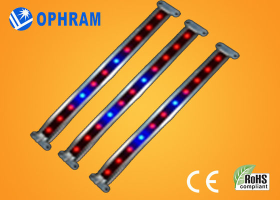 10W SMD 2835 は野菜/開花 LED 180° ビーム角のライトを育てます