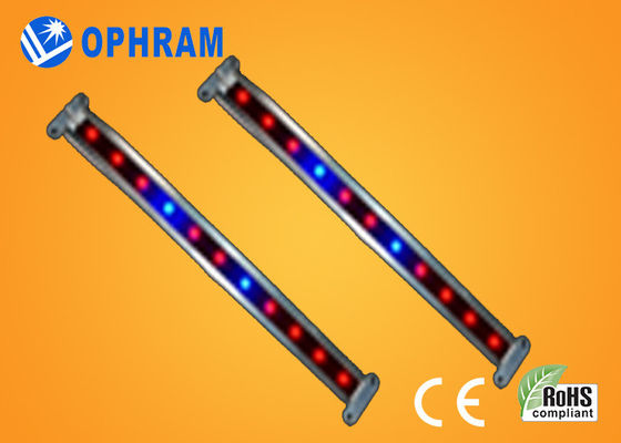 10W SMD 2835 は野菜/開花 LED 180° ビーム角のライトを育てます