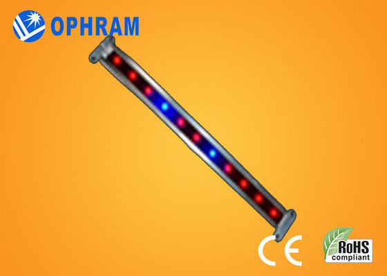 10W SMD 2835 は野菜/開花 LED 180° ビーム角のライトを育てます