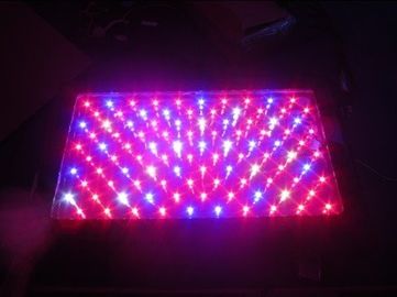 120W 高い発電の温室 LED はライトを育てます